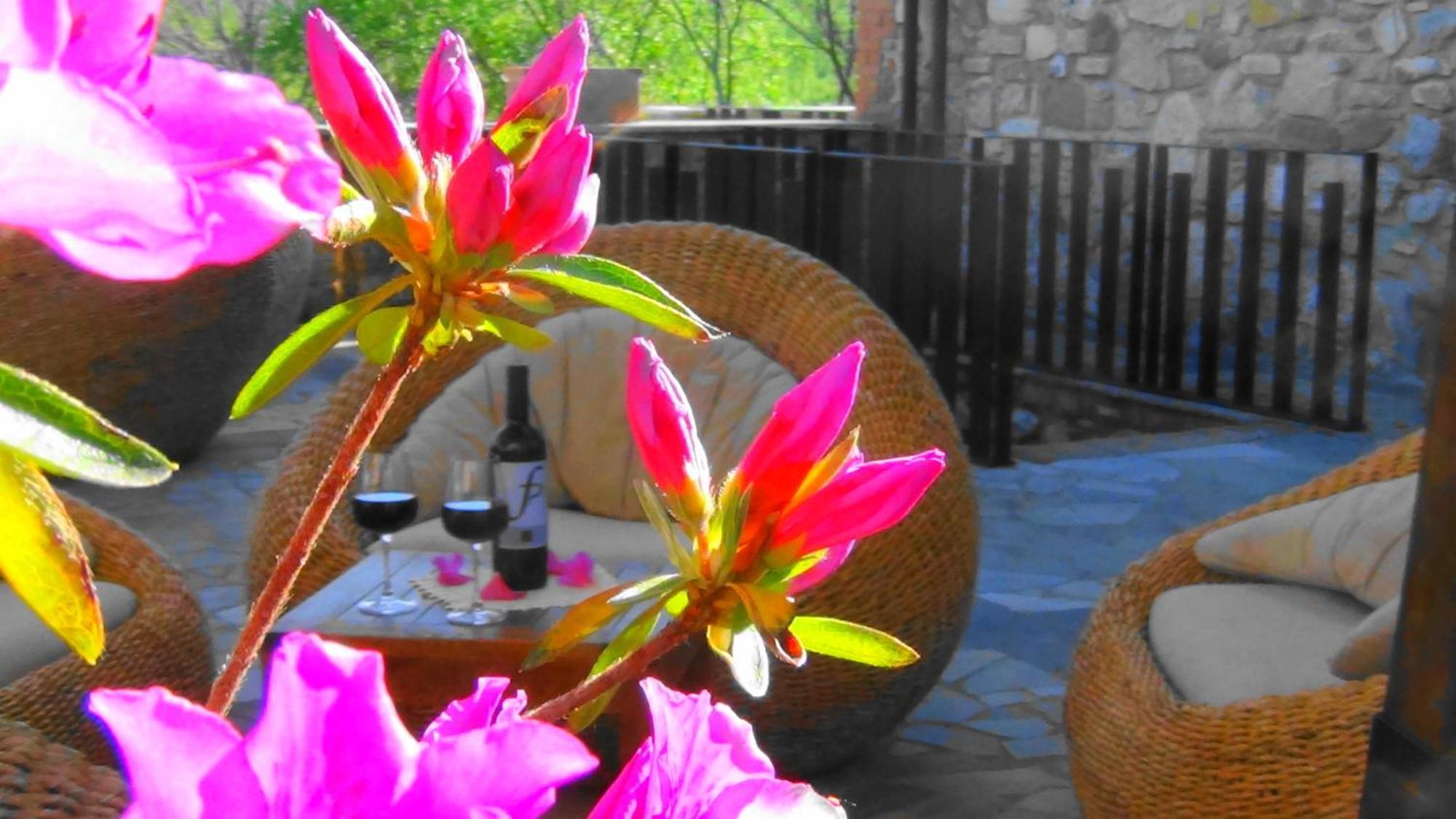 Country house Fattoria Pianetti