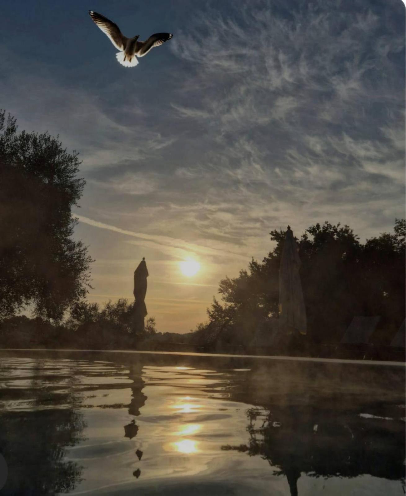 Country house Fattoria Pianetti